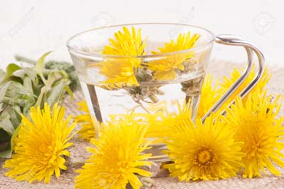 KIŞ AYLARININ OLMAZSA OLMAZI BİTKİ ÇAYLARI