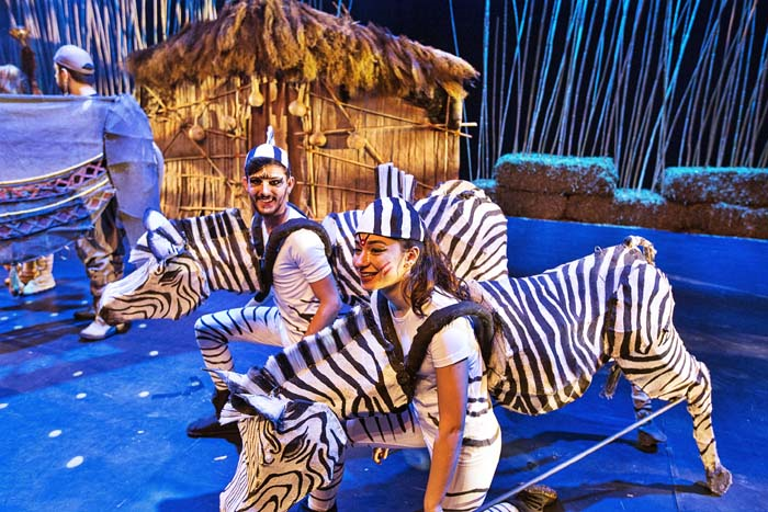 ANIMALS MUSICAL İSTANBULDA
