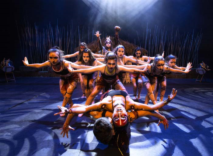 ANIMALS MUSICAL İSTANBULDA