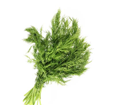 KIŞ SEBZELERİ İLE SOĞUK KIŞ GÜNLERİNDE BAĞIŞIKLIK SİSTEMİMİZİ  GÜÇLENDİRİN