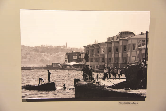 SERGİNİN GELİRİ SAHİPSİZ HAYVANLARA