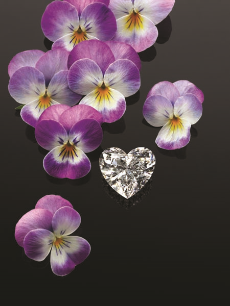 PARİSİN GÖBEĞİNDE GÖRKEMLİ DAVET 