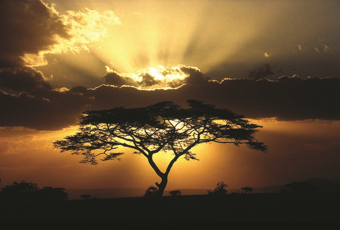 MERVE HASMAN SALVATORİ LÜKSLERİNİ ALEM’E ANLATTI