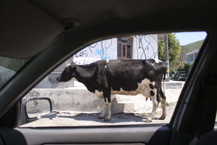 GİZEMLİ OTOMOBİL DÜNYASI