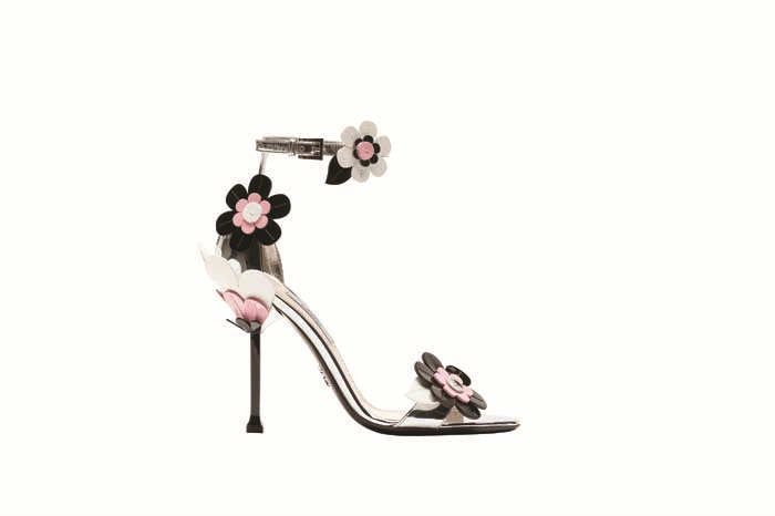 CEYLAN ÇAPANIN MEKSİKA SEYAHATİ ALEMDE!