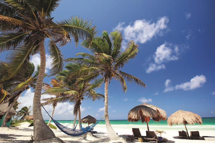 CEYLAN ÇAPANIN MEKSİKA SEYAHATİ ALEMDE!