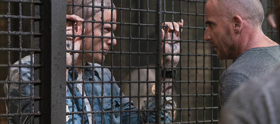 SEKİZ YIL ARADAN SONRA YENİDEN