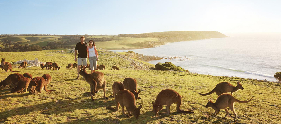 ABORJİNLERİN DÜNYASINA YOLCULUK