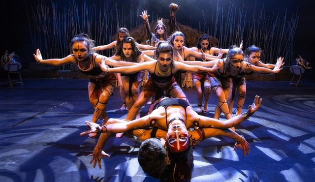 ANIMALS TÜRKİYE’DE