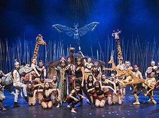 ANIMALS TÜRKİYE’DE