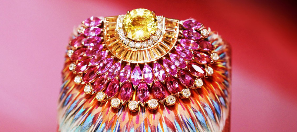 GÜNEŞİN KOLEKSİYONU