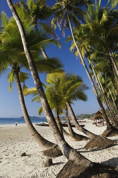 DÜNYANIN EN GÜZEL KUMSALLARI