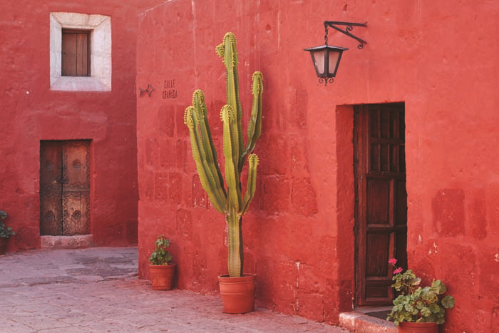 GÜNEY AFRİKA’NIN İLK LÜKS TRENİ SEFERLERİNE BAŞLADI