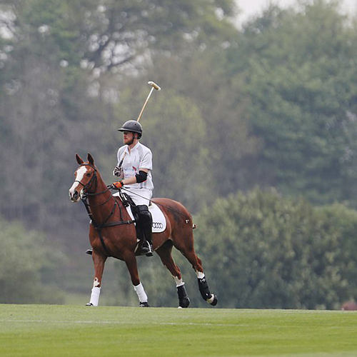  PRENS HARRY VE MEGHAN MARKLE İLİŞKİSİ RESMİYET KAZANDI