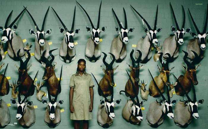 MUTLU OLMA İHTİMALİMİZ