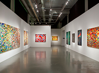 FAHRELNİSSA ZEİD SEÇKİSİ