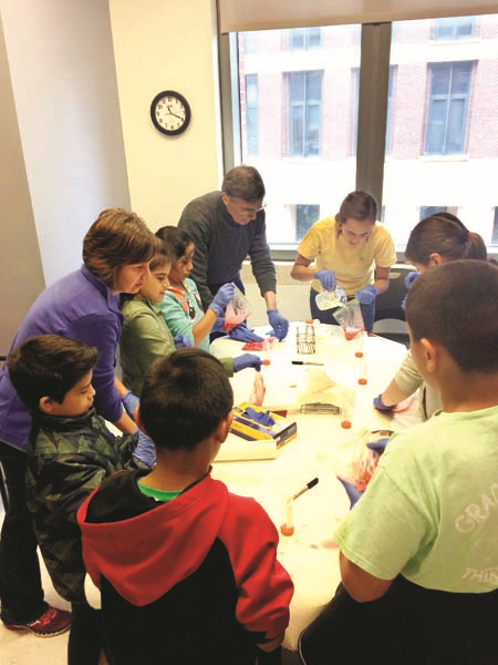 GIS PROJECT 2017 İLHAM VEREN ROL MODELLER