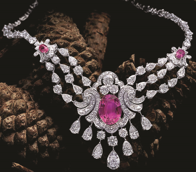 ASLI PEHLİVANLARIN LÜKSLERİ