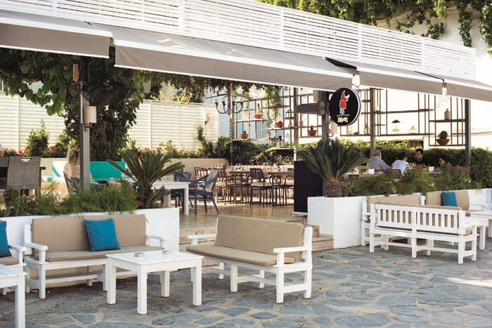 TÜRKBÜKÜNÜN YILDIZLARI