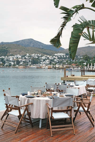 TÜRKBÜKÜNÜN YILDIZLARI