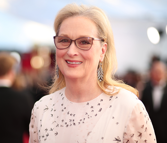 MERYL STREEPIN OBAMA BASKILI ÇANTASI