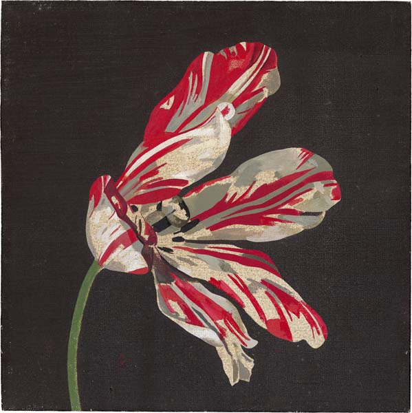 İNGİLTERE’DE TÜRK LALELERİ