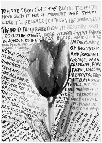 İNGİLTERE’DE TÜRK LALELERİ