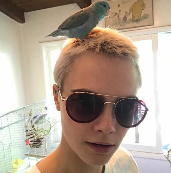 INSTAGRAM STORIES 1. YILINI KUTLUYOR