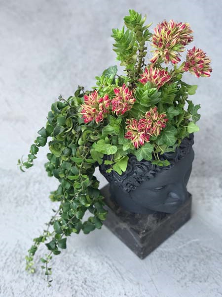 MELDA KAMHİ KOSİF, HEYKEL TASARLADI