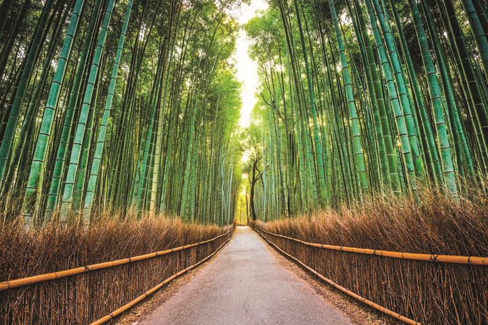 KYOTOYA GİTMEK İÇİN 10 SEBEP