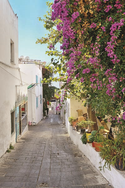 BİLMEDİĞİNİZ BODRUM