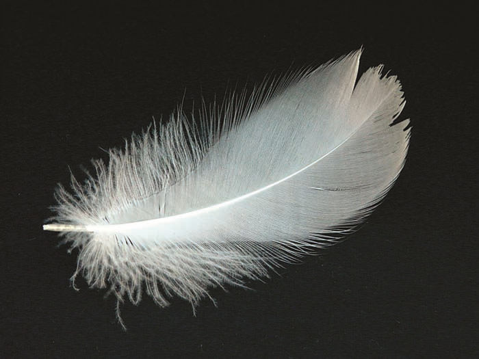 MELDA KOSİFİN LÜKSLERİ