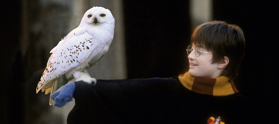 BÜYÜLÜ DÜNYANIN KAPILARI ARALANIYOR