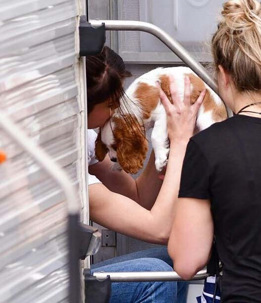 SELENA GOMEZ VE YAVRU KÖPEĞİ