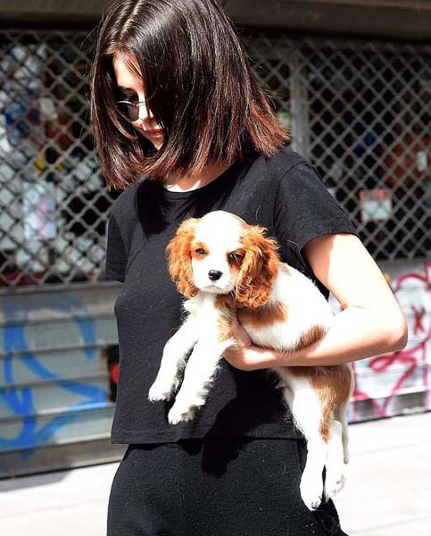 SELENA GOMEZ VE YAVRU KÖPEĞİ