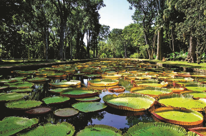YERYÜZÜNDEKİ CENNET: MAURITIUS