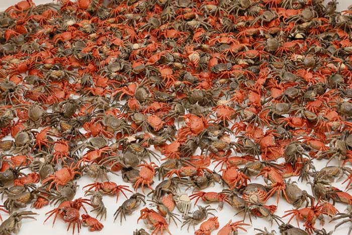 AI WEIWEI SAKIP SABANCI MÜZESİNDE