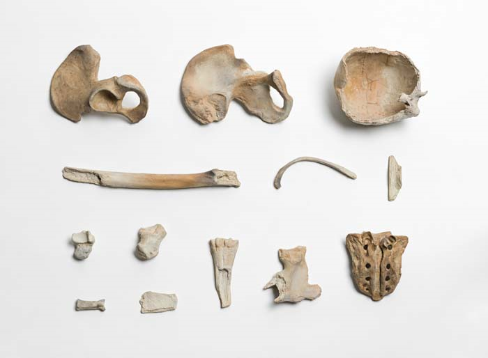 AI WEIWEI SAKIP SABANCI MÜZESİNDE