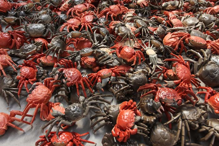 AI WEIWEI SAKIP SABANCI MÜZESİNDE