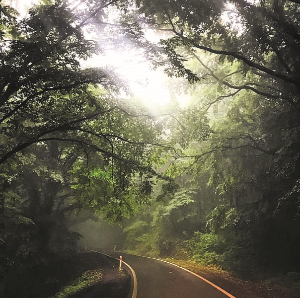 EDWINA SPONZANIN LÜKSLERİ