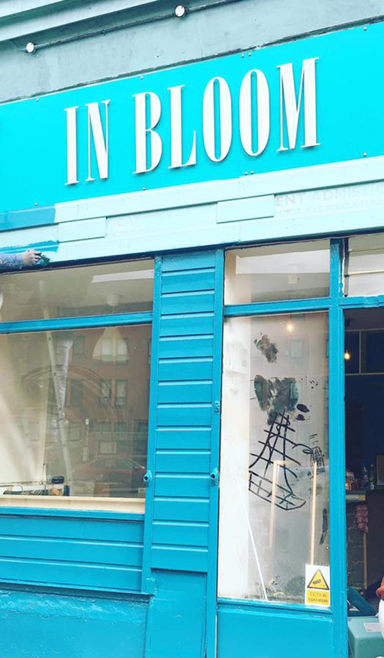 NIRVANA TEMALI VEGAN KAFE