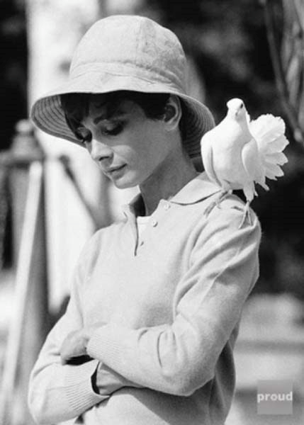 KLASİK HOLLYWOOD FİLMLERİNİN PERDE ARKASI