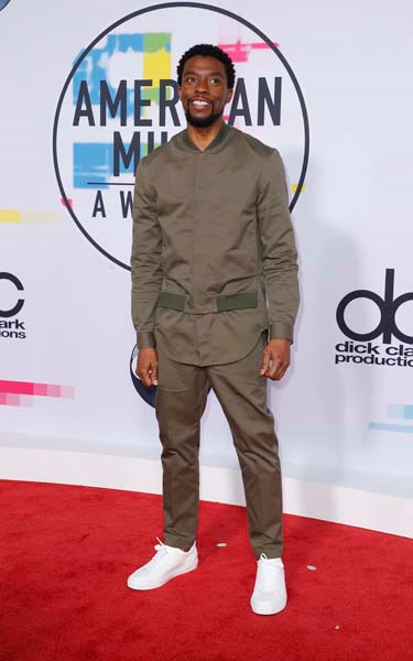 2017 AMERİKAN MÜZİK ÖDÜLLERİ KIRMIZI HALI