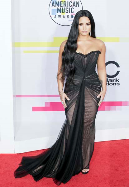 2017 AMERİKAN MÜZİK ÖDÜLLERİ KIRMIZI HALI