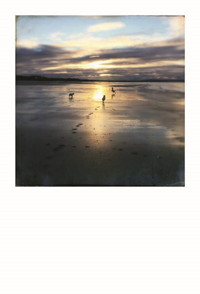 SANATIN İYİLEŞTİRİCİ GÜCÜ