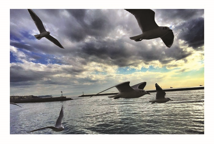 SANATIN İYİLEŞTİRİCİ GÜCÜ