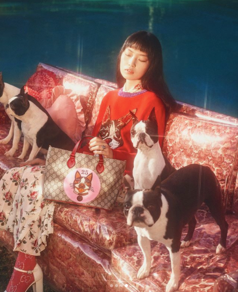 GUCCI, KÖPEK YILINI KUTLUYOR