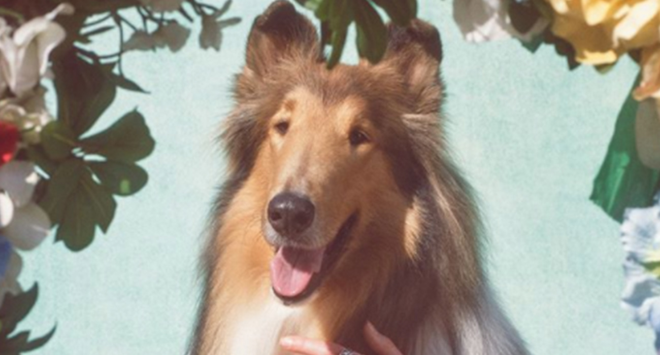 GUCCI, KÖPEK YILINI KUTLUYOR