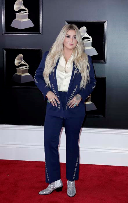 2018 GRAMMY ÖDÜLLERİ KIRMIZI HALI