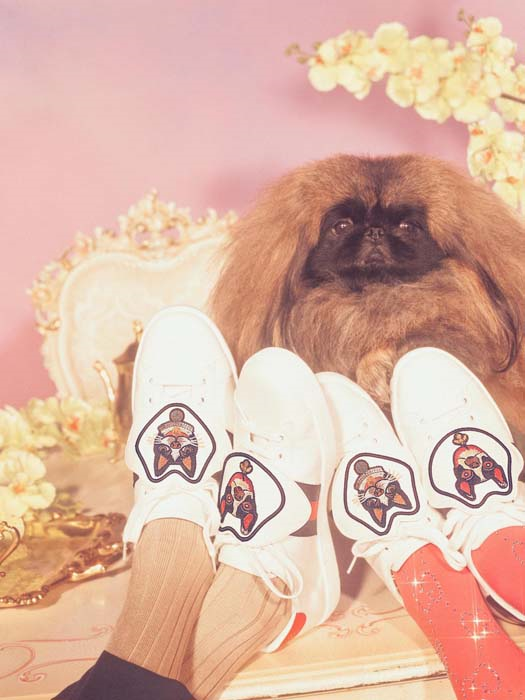 GUCCI, KÖPEK YILINI KUTLUYOR